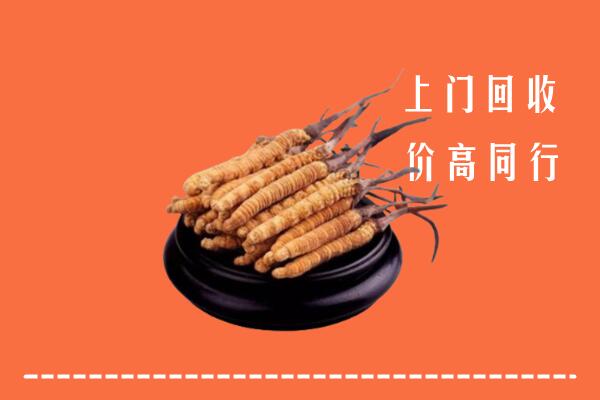高价求购：平遥县回收散虫草