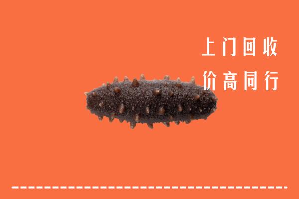 高价求购：平遥县回收海参