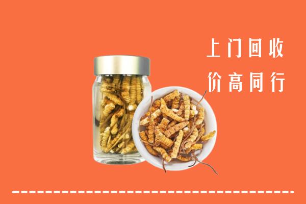 平遥县回收冬虫夏草