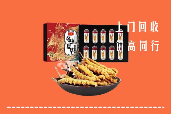 平遥县回收虫草